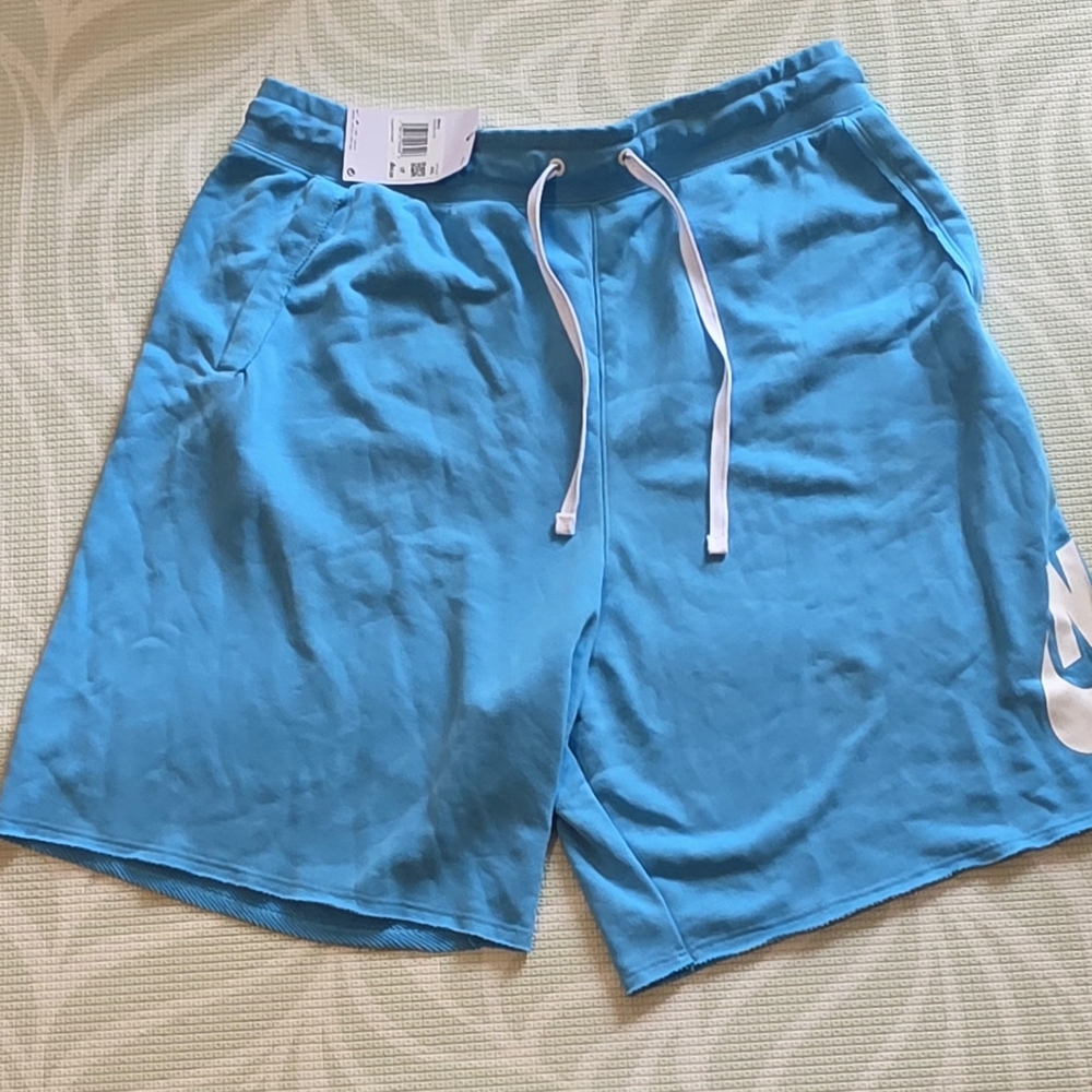 Nike Turquoise Casual Shorts